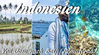 Indonesien Von Java nach Bali und eine entspannte Zeit in Pemuteran mit Schnorcheln vor Menjangan