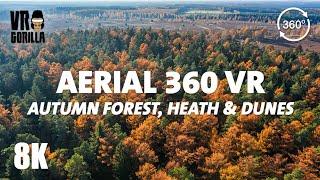 Autumn Forest Heath and Dunes - Aerial & Walkthrough - 8K 360 Drone Video