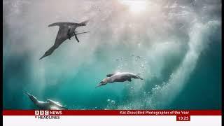 Bird Photography of the Year contenders and winners Global 24Sep2024