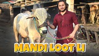 Finally Cow Mandi 2023 pohanch gae  heavy bulls agae mandi ma