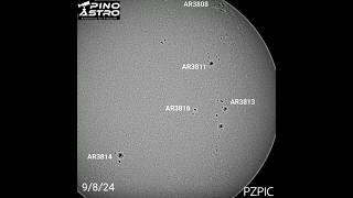 Daily Sunspots September 8 2024 B&W 9824 #sun #solar #sunspots #seestar #solarobservation