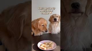 Baking cookies for my dogs  #dogshorts #dogs #goldenretriever #cookies #baking #puppies #puppy