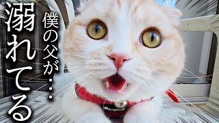 水場で犬が溺れてると思って猫がとった行動がこちらです...