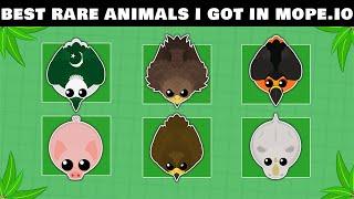 BEST RARE ANIMALS I GOT IN MOPE.IO