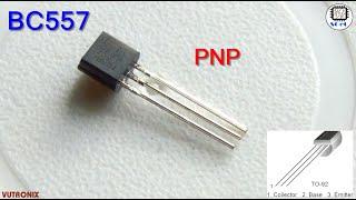 SGeC BC557 PNP small-signal transistor 50V-0.2A-0.3W