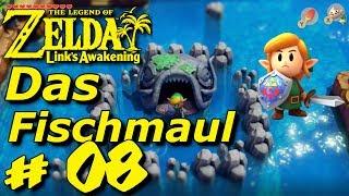 Zelda Links Awakening Part 8 das Fischmaul│Zelda Links Awakening deutsch-german