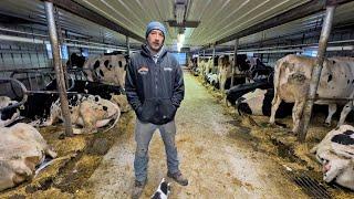 Maple Woods Dairy Farm S1E1 Morning milking