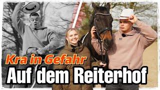 KRA IN GEFAHR Auf dem Reiterhof