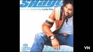 Shaggy - Hey Sexy Lady.