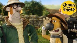 Shaun the Sheep  The Farm Zoo?? - Cartoons for Kids  Full Episodes Compilation 1 hour