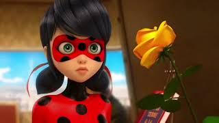 Miraculous - take the flower Funny edit