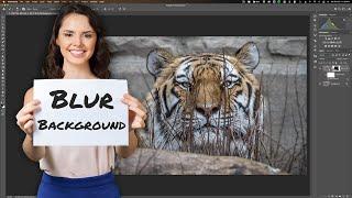 Easy Photoshop Automation to FIX Zoo Pictures