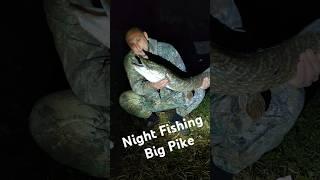 Ночная Рыбалка Щука Night Fishing Pike #shorts #pike #fishing #рыбалка #щука