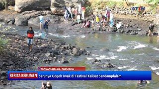 Serunya Gogoh Iwak di Festival Kalisat Sendangdalem Padureso