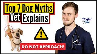 Veterinarian Debunks The Top 7 Most Common Dog Myths  Dogtor Pete