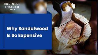 Why Sandalwood Is So Expensive  So Expensive