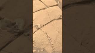 Strange Rock Found On Mars