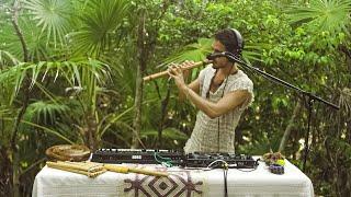 Janax Pacha - Into My Nature Live Set in the Jungle - Tulum {Folktronica  Organica}