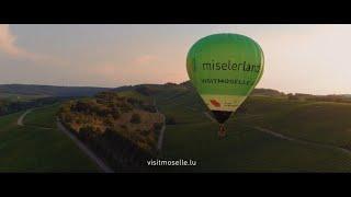 Visit Moselle