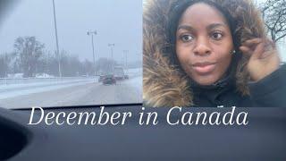 Snowstorm in Montreal  Life in Canada #canada #snow #snowstorm