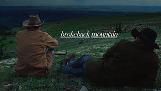 Brokeback Mountain  Its not that youre not the one.