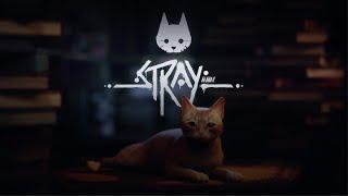 Stray Preview