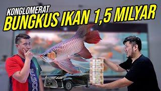 SAKIT JIWA BELI IKAN TERMAHAL DI INDONESIA - HARGA MILYARAN CUMA DAPET 1 IKAN