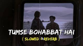Tumse Mohabbat Hai  Slowed Reverb  Lofi Song @lofisong4107