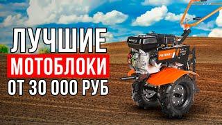 ТОП-5 мотоблоков от 30 тысяч рублей. Какой мотоблок купить?