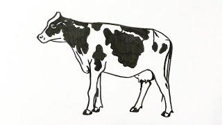 How to draw a cow step by step