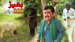 Bakra 300 Ki  Bakra Eid  Helmet  Rocket New Top Funny  Chal TV