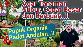 Pakai ini  Agar tanaman Subur Cepat Besar Cepat Berbuah dan Lebat Buahnya Pupuk Organik Padat.