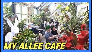 4K Greenhouse cafe near Seoul My Allee 마이알레 Korea