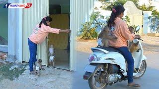 Relaxing Afternoon  Happy Family Kako With Luna And Mom Riding Motorbike