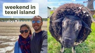 SUNNY WEEKEND IN TEXEL ISLAND  ️  Netherlands summer travel vlog