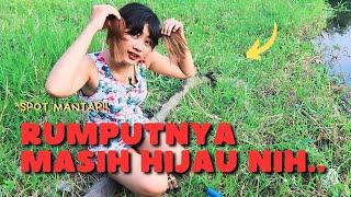 SPOT MANCING MANTAP RUMPUTNYA MASIH HIJAU