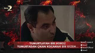 Sadettin Teksoy Zaman Tüneli Yumurtalayan Horozun Gizemi