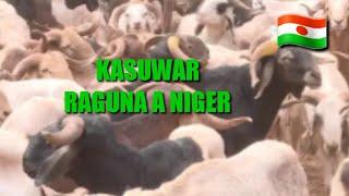 KASUWAR RAGUNA A NIGER 