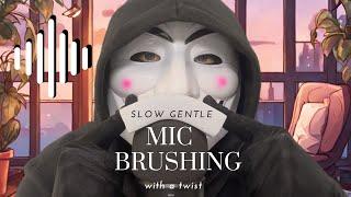 ASMR  slow gentle soothing mic brushing with a twist