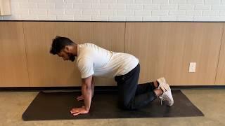 Fire Hydrant Exercise Glute Medius Muscle