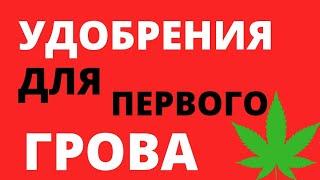 КАКИЕ УДОБРЕНИЯ НУЖНЫ ДЛЯ ГРОВА?  УДОБРЕНИЯ ДЛЯ ПЕРВОГО ГРОВА  ОТЛИЧИЕ МИНЕРАЛЬНЫХ ОТ ОРГАНИЧЕСКИХ