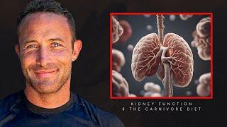  Can A Meat-Based Diet Improve KIDNEY Function? 