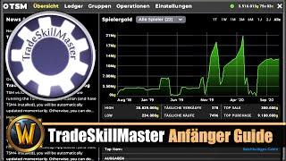 TradeSkillMaster Anfänger Guide