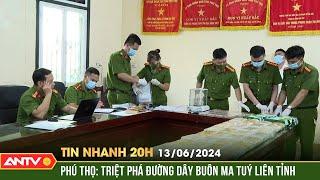 Tin nhanh 20h ngày 136 Phú Thọ Triệt phá đường dây buôn ma tuý liên tỉnh  ANTV