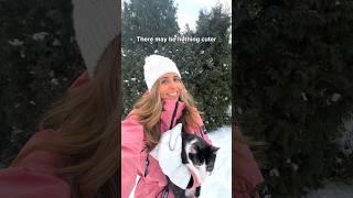 This is your sign to play with your cats in the snow️ #travelcat #adventurecat