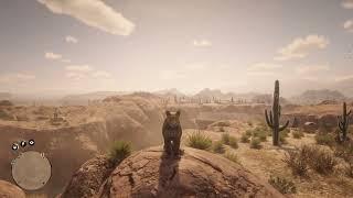 «Iwakta Panther»   RDR 2 Online