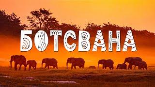 Сафари моей мечты. Ботсвана Южная Африка  Botswana. Travel documentary