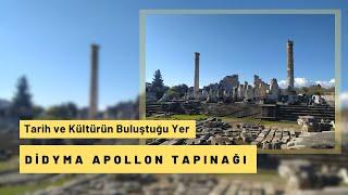 Aydın Didim Apollon Tapınağı  Aydında Gezilecek Yerler #aydındagezilecekyerler #ApollonTapınağı