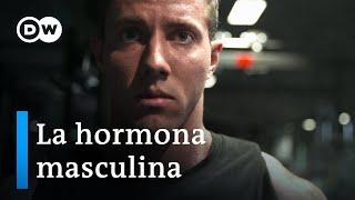 Testosterona -  La fuerza motriz de los hombres  DW Documental