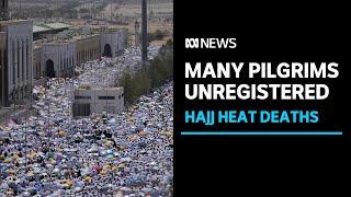 Egypt cracks down on dodgy operators after hundreds of hajj pilgrimage deaths  ABC News